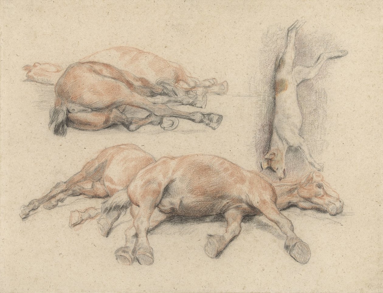 Bir At Kadavrası ve Asılan Ölü Bir Köpek Çalışmaları by Denis Auguste Marie Raffet