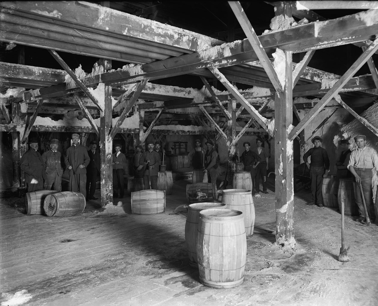 Del Ray Tuz Şirketi, c.1900-20 by Detroit Publishing Co.