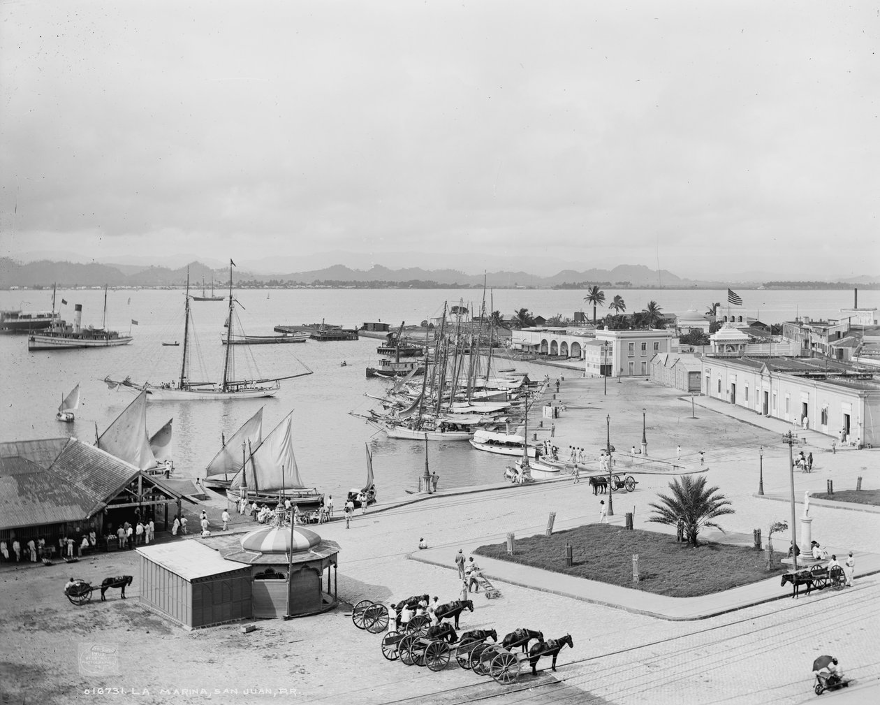 La Marina, San Juan, Porto Riko, c.1903 by Detroit Publishing Co.