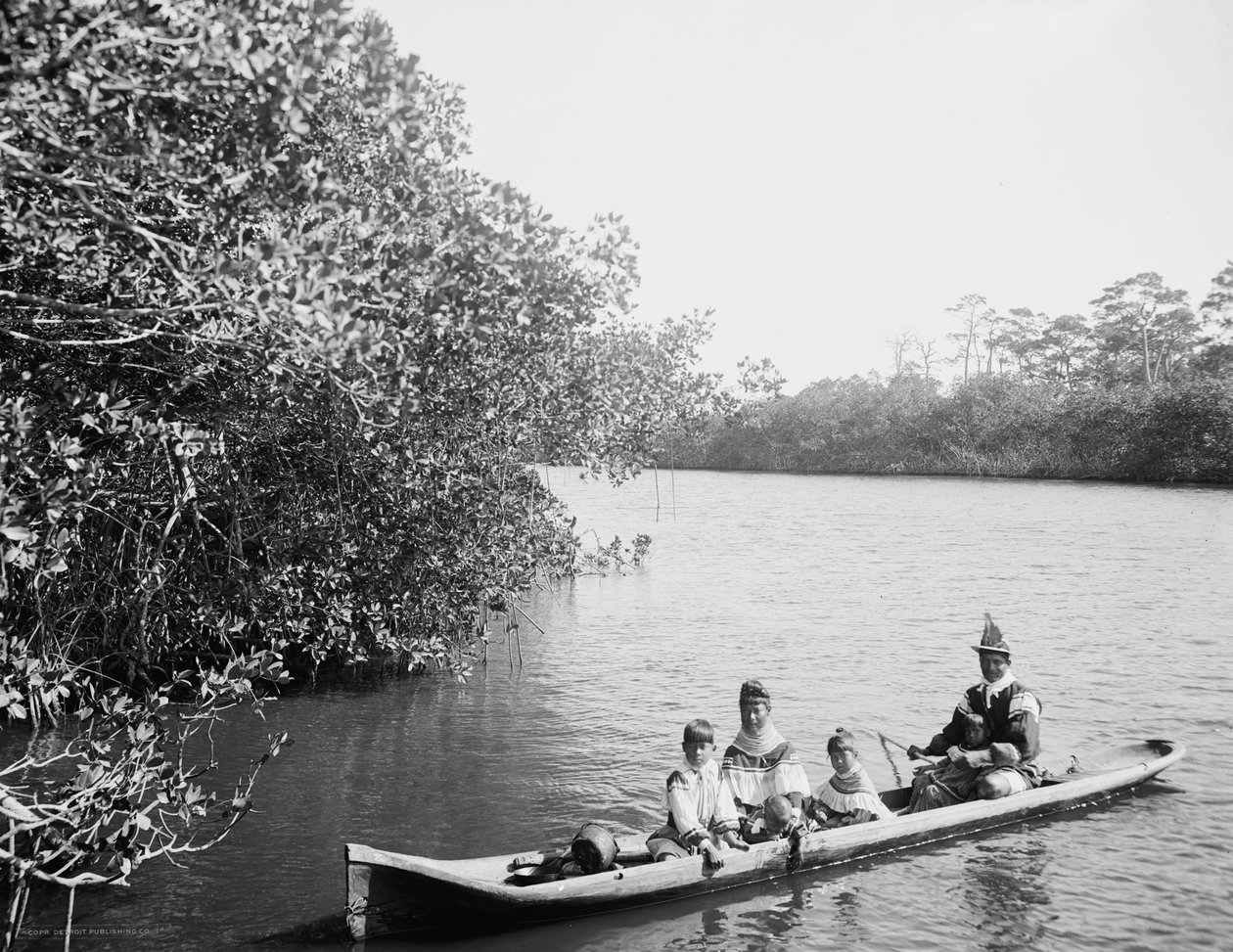 Seminole Indian ve aile sığınağı kano, Miami, Florida, c.1910-20 by Detroit Publishing Co.