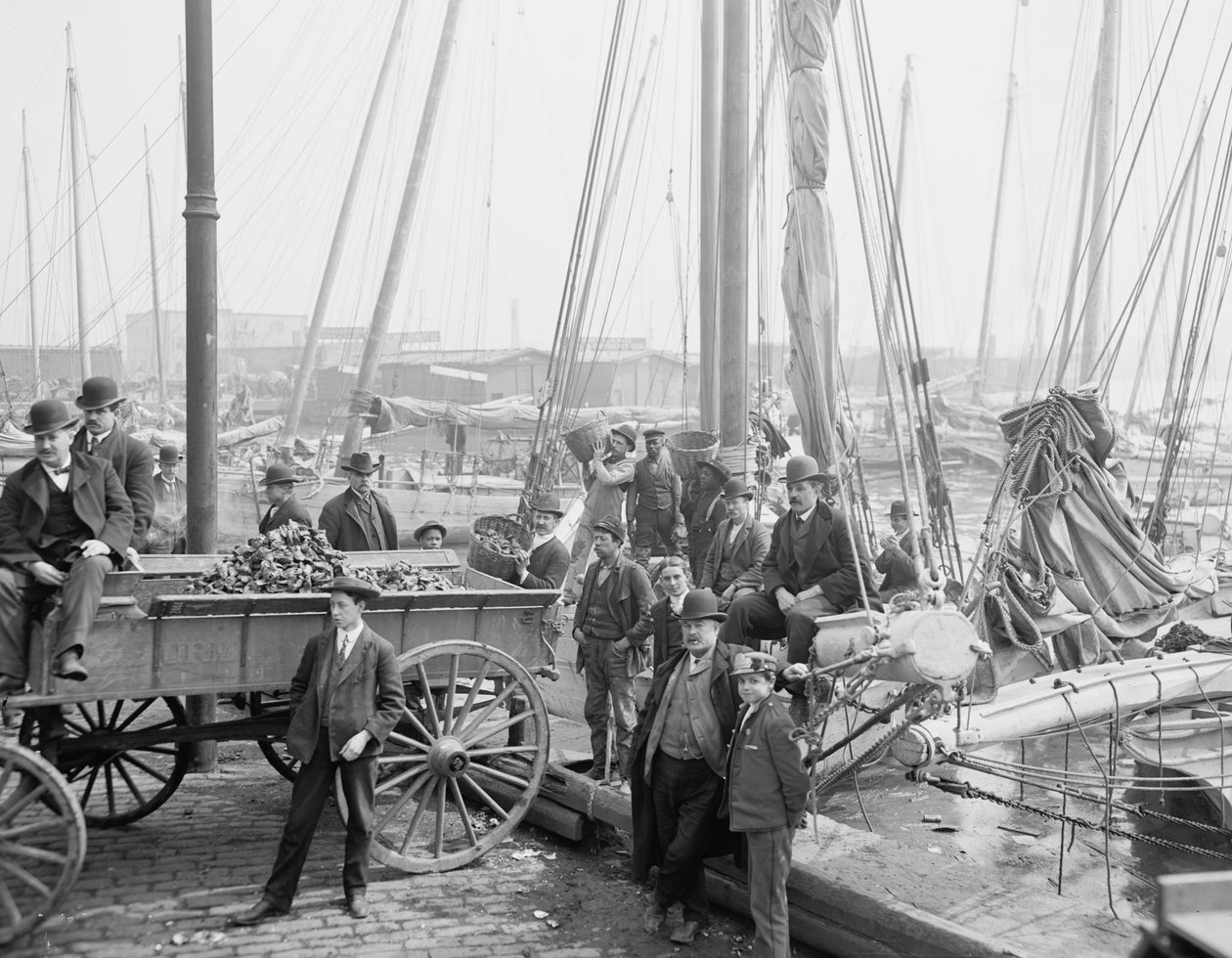 İstiridye kepçelerini boşaltma, Baltimore, Maryland, 1905 by Detroit Publishing Co.