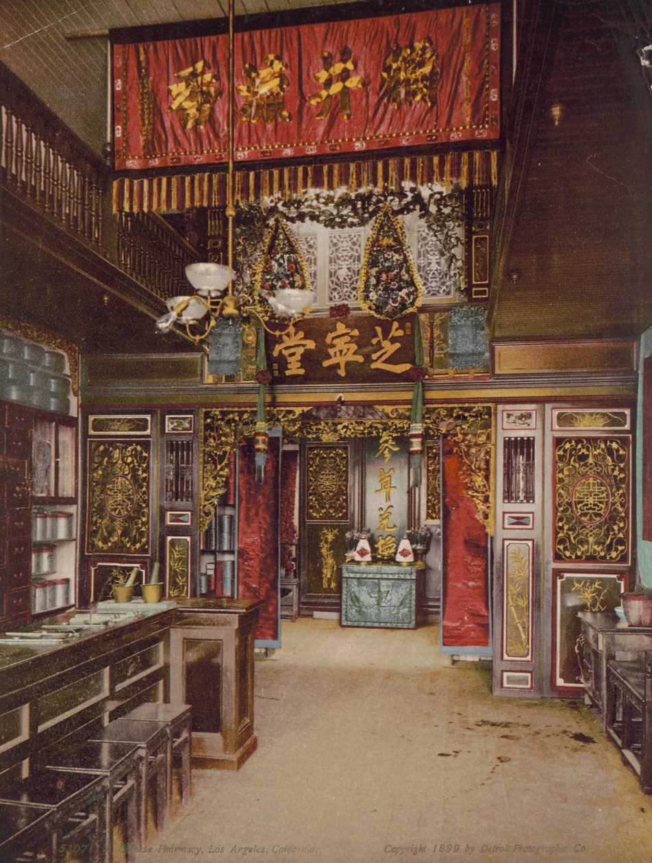 Çin eczanesi, Los Angeles, California, 1899 by Detroit Photographic Co.
