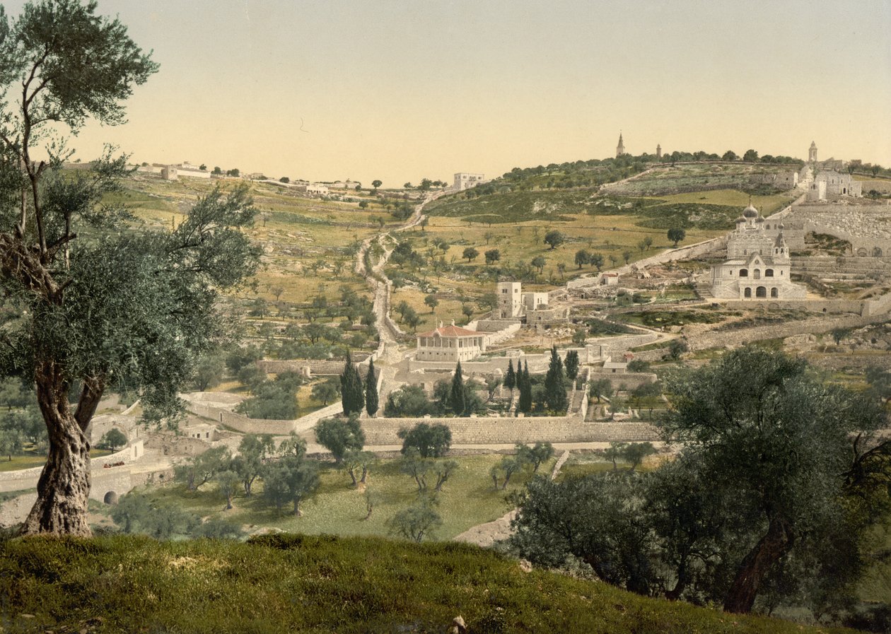 Zeytin Dağı ve Gethsemane, genel görünüm, Kudüs, c.1890-c.1900 (fotokrom baskı) by Detroit Photographic Co.