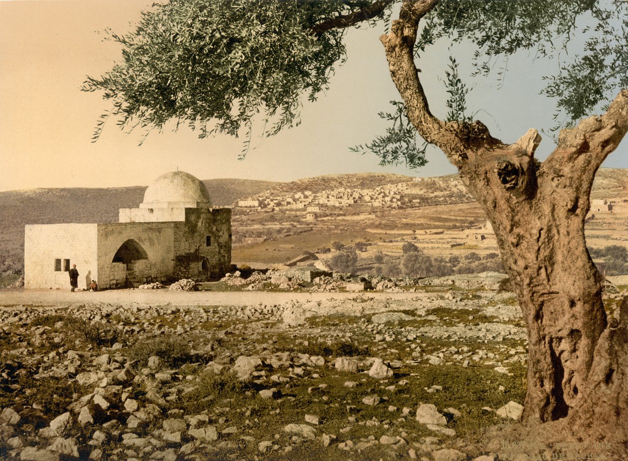 Rahel Mezarı, Kudüs, Kutsal Topraklar, c.1890-c.1900 (fotokrom baskı) by Detroit Photographic Co.