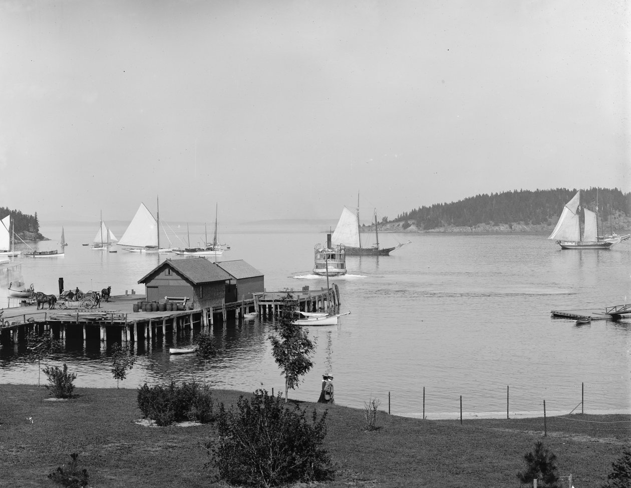 Bar Harbor, Mt. Desert Island, Maine, Newport House