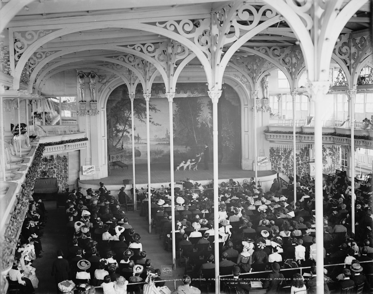 Hammerstein