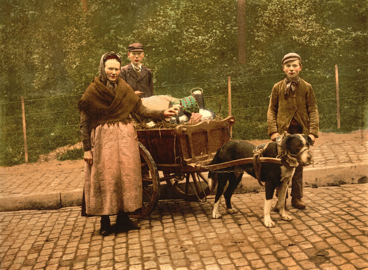 Süt Satıcıları, Brüksel, Belçika, c.1900 by Detroit Publishing Co.