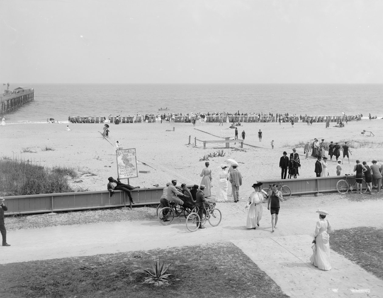 Palm Beach, Florida, 1905 dolayları (s/b fotoğraf) by Detroit Publishing Co.