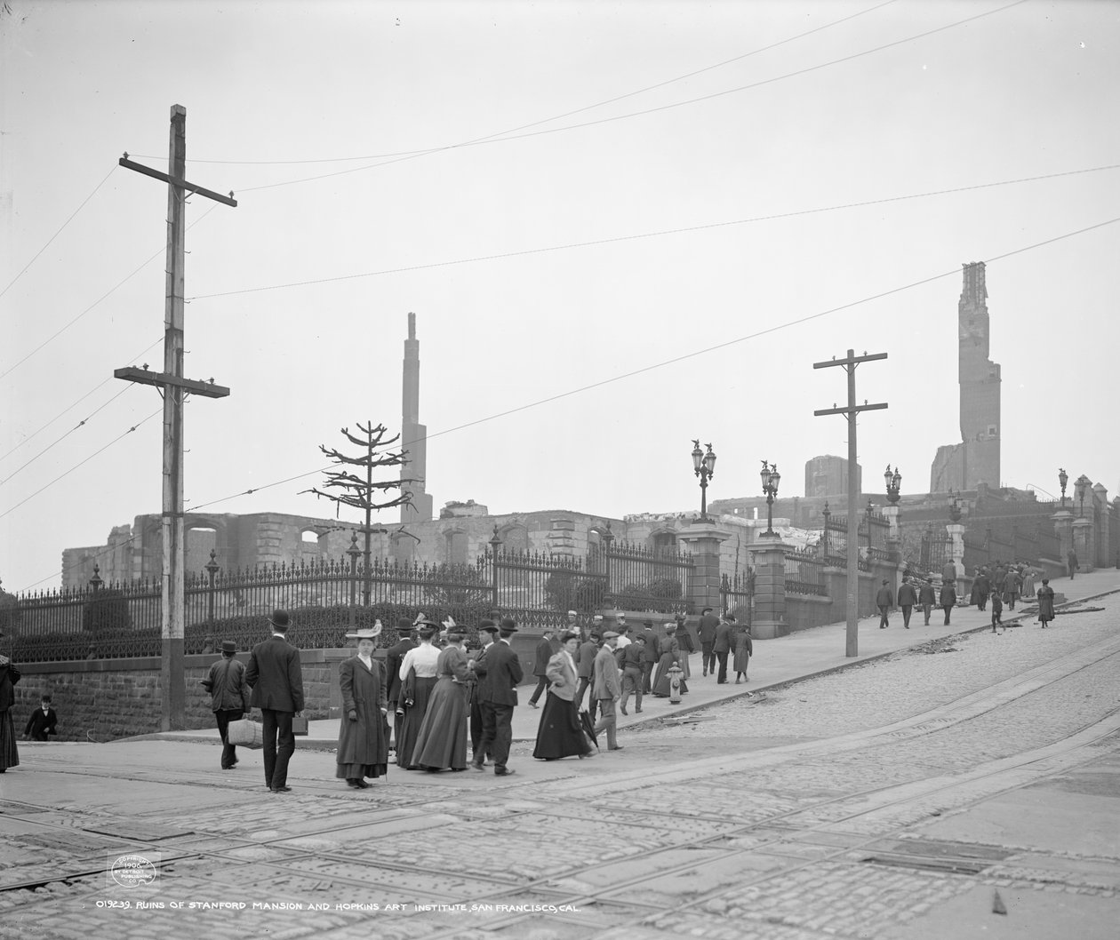 Stanford Malikanesi Harabeleri ve Hopkins Sanat Enstitüsü, San Francisco by Detroit Publishing Co.