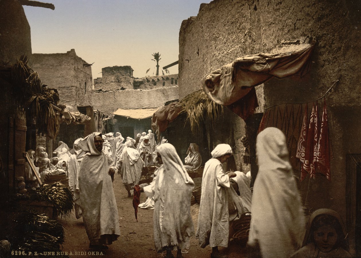 Sidi Okba'daki Cezayir caddesi, 1899 dolayları (fotokrom) by Detroit Publishing Co.