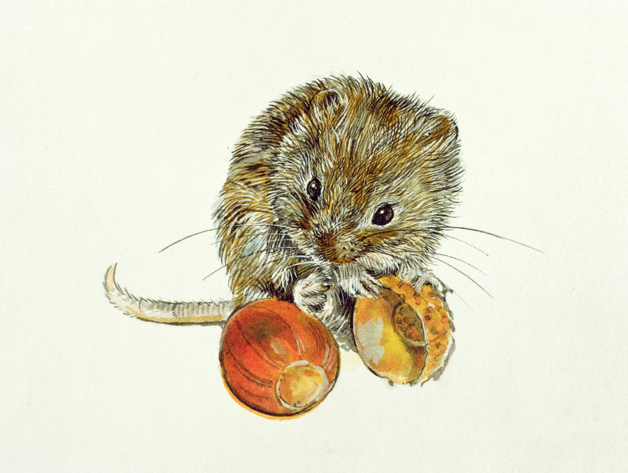 Palamut ile tarla faresi by Diane Matthes