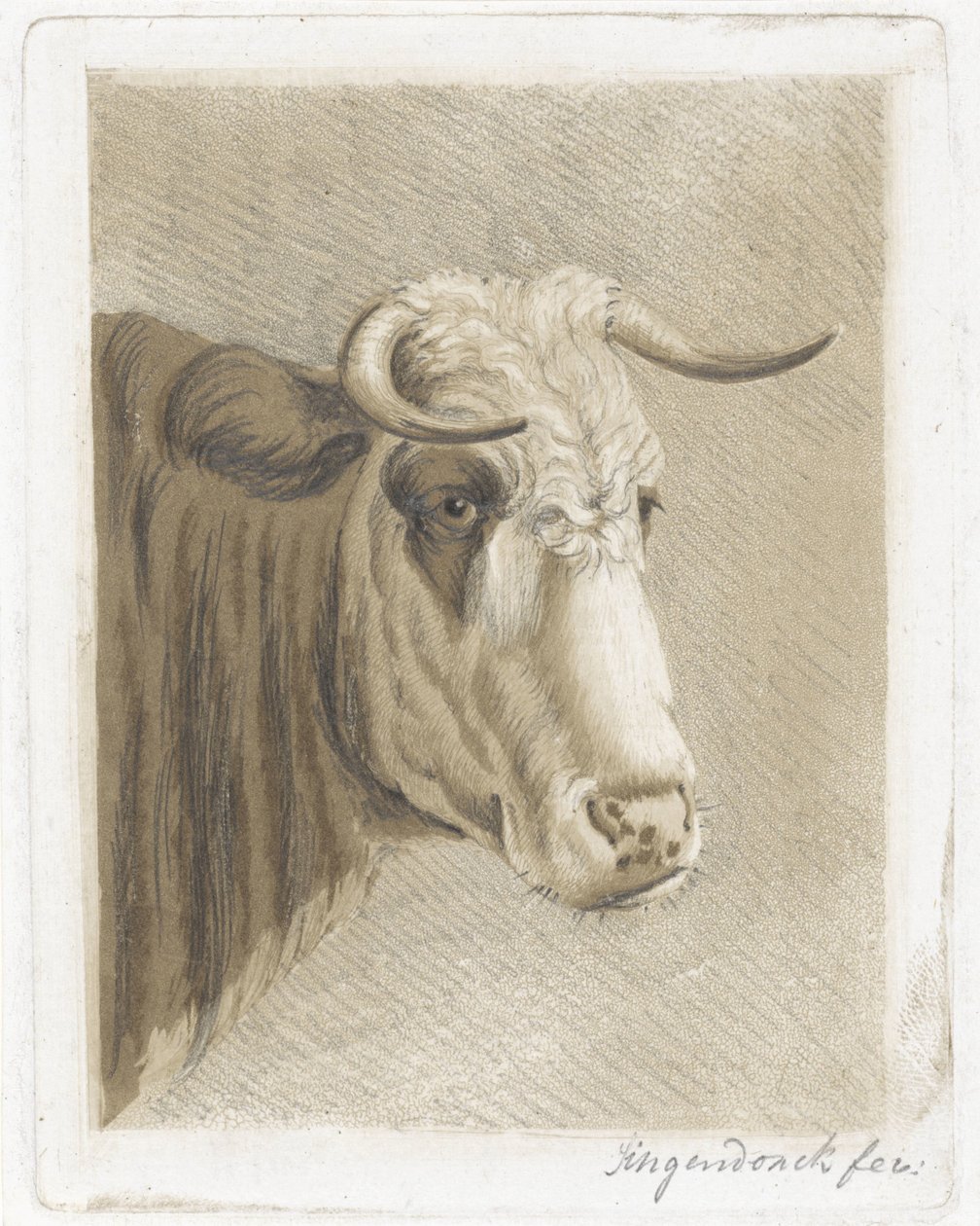 kurabiye bardağı by Diederik Jan Singendonck (signed by artist)
