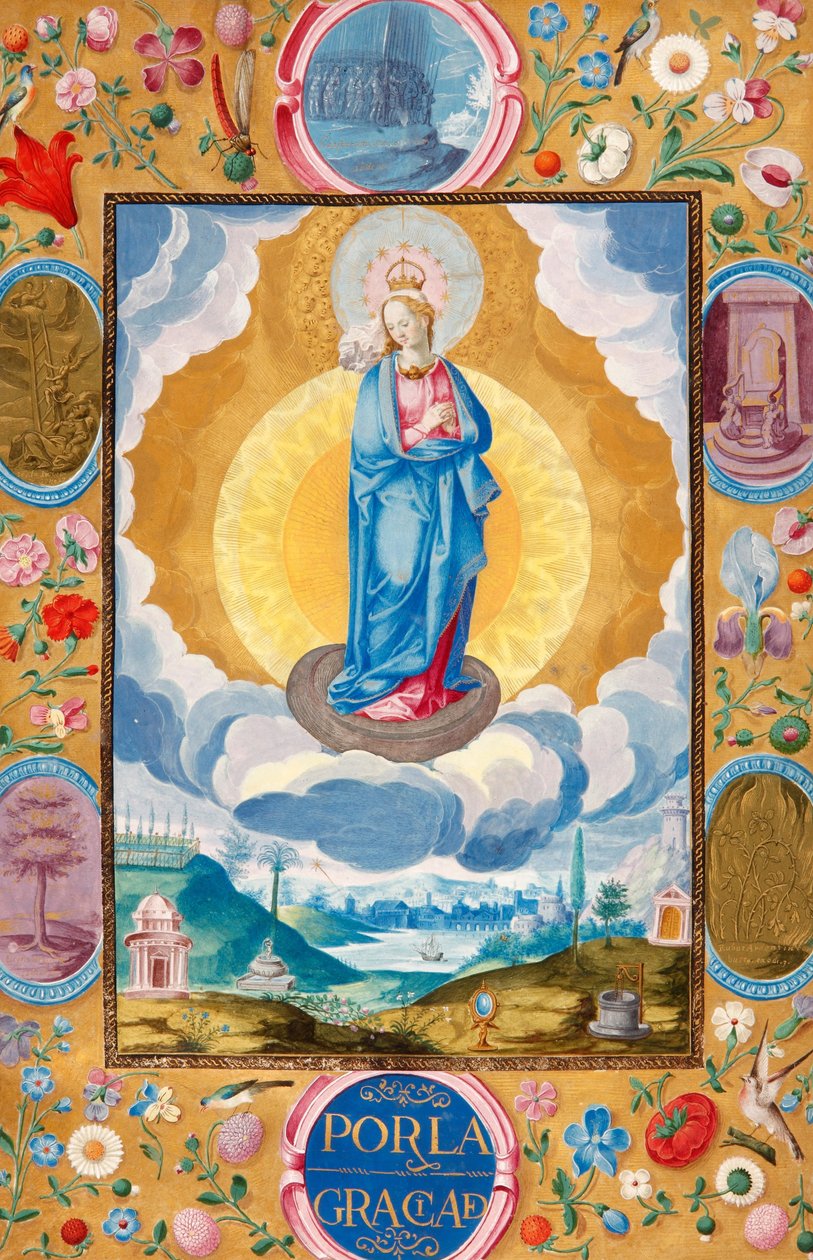 Arias Pardo de Cela