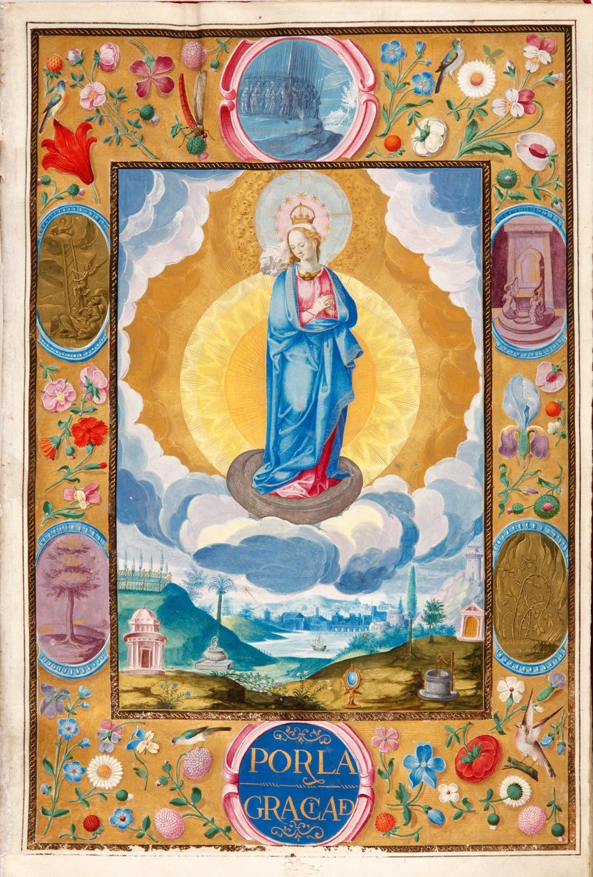 Arias Pardo de Cela