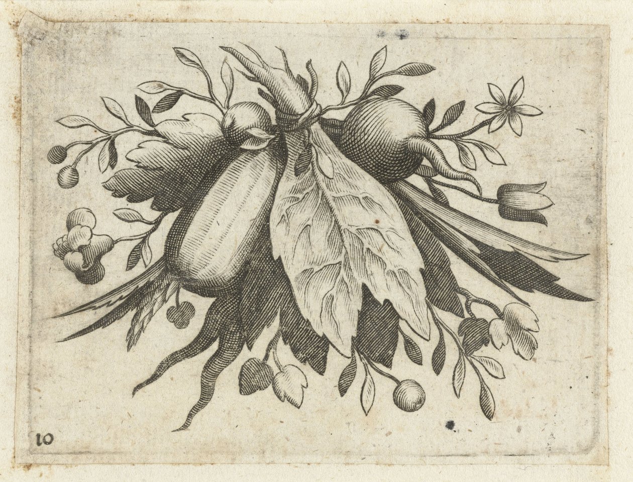 Festoen van Vrutten Seyahat için kullanışlı küçük meyve kitabı (seri başlığı) by Dietrich Krüger (attributed to)