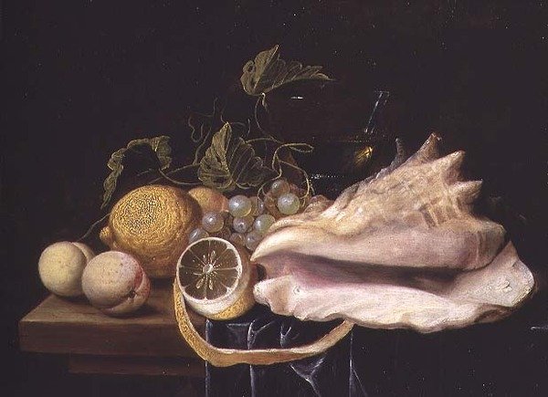 Strombus Kabuk ve Meyve ile natürmort by Dirck Sauts