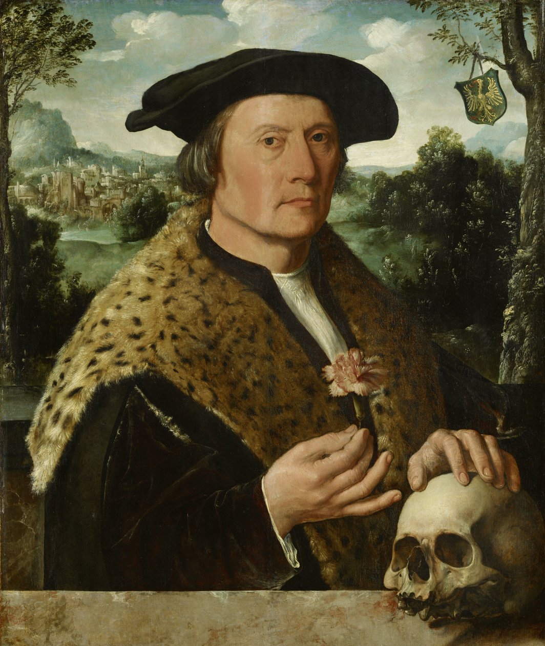 Pompeius Occo