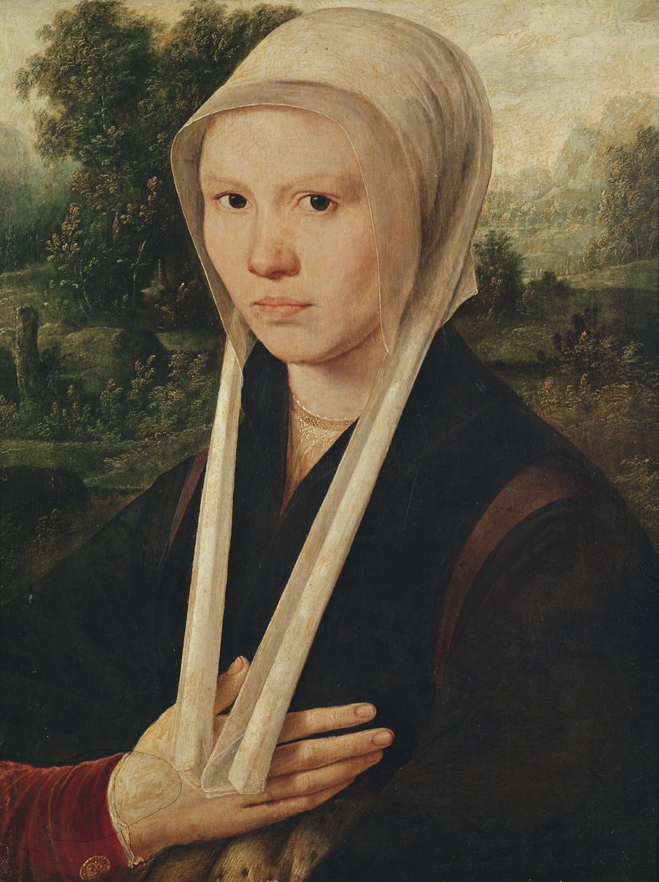 Portrait of a young woman, c.1530  by Dirk Jacobsz