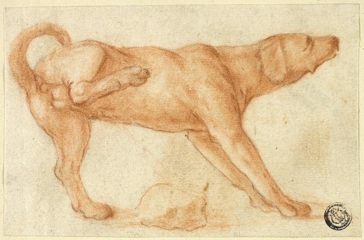  by Dirk Valkenburg