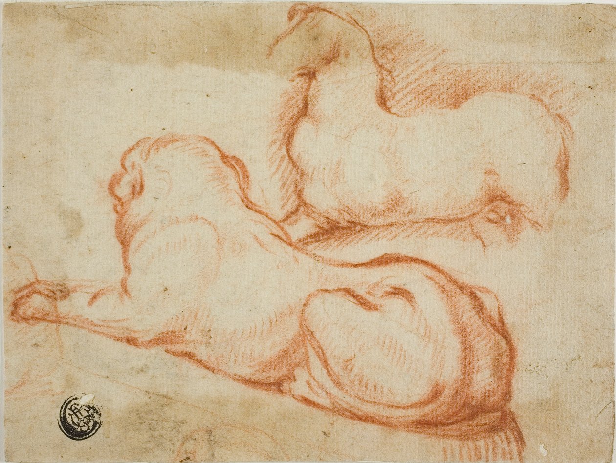 At ve Köpek Kroki by Dirk Valkenburg