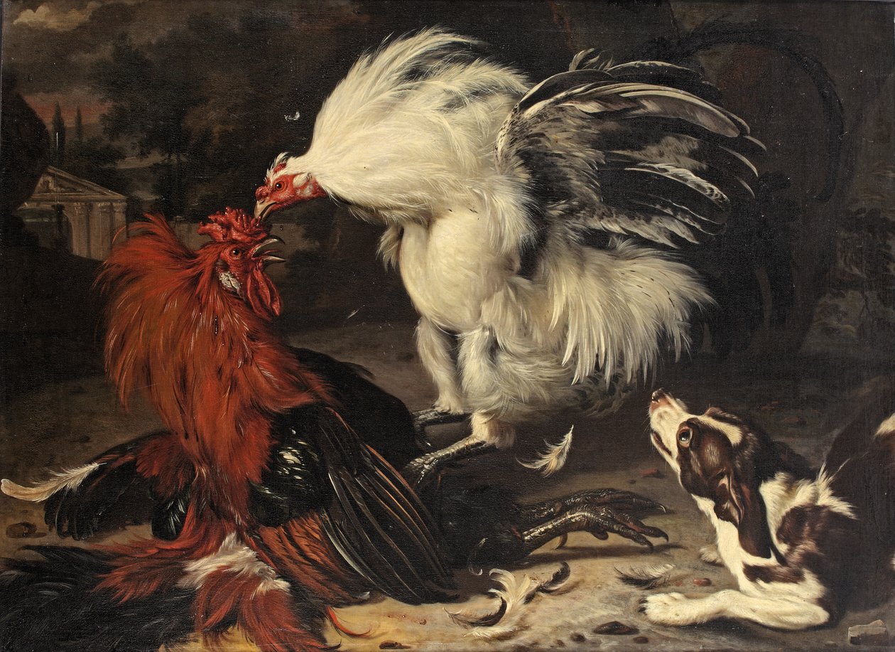  by Dirk Valkenburg