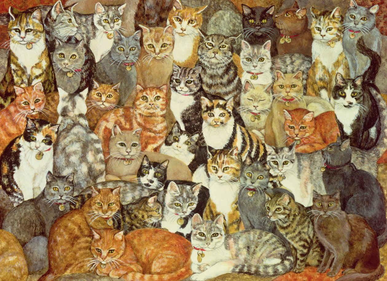 Kedi-Yayılması by Ditz