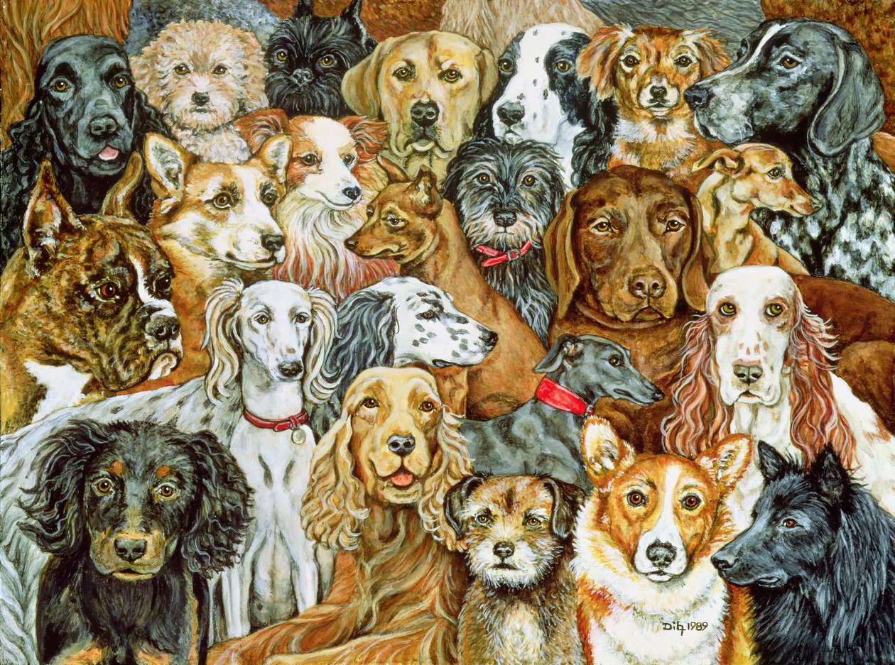 Köpek Yayılması, 1989 by Ditz