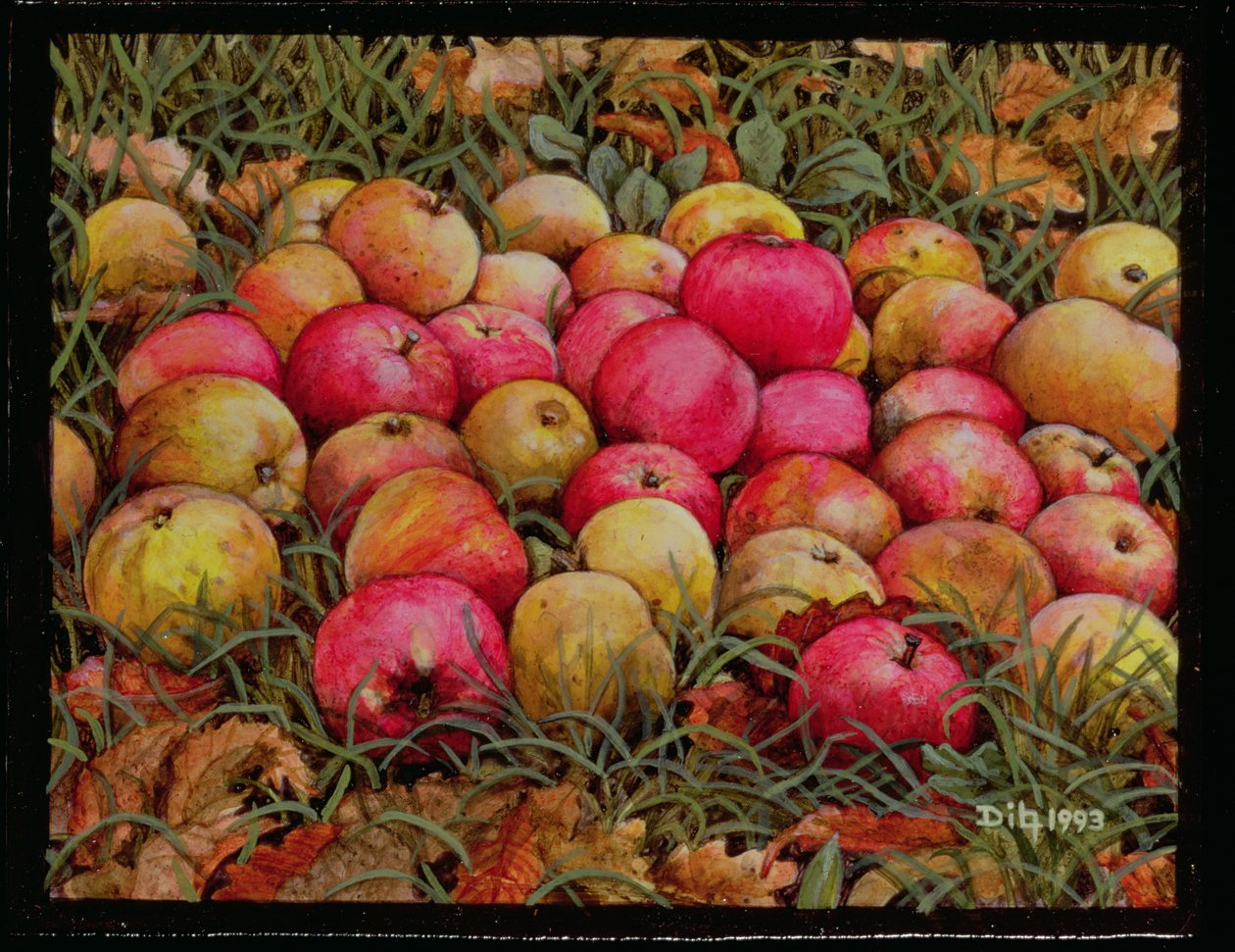 Durnitzhofer Elmaları, 1993 by Ditz