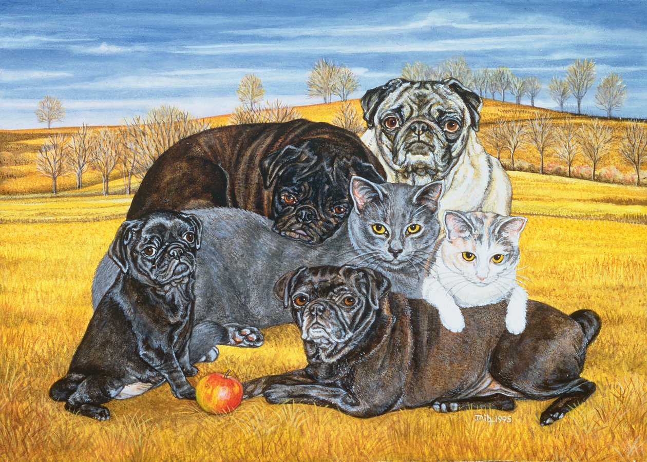 Hocking İlçesi Pug Kedileri, 1995 by Ditz