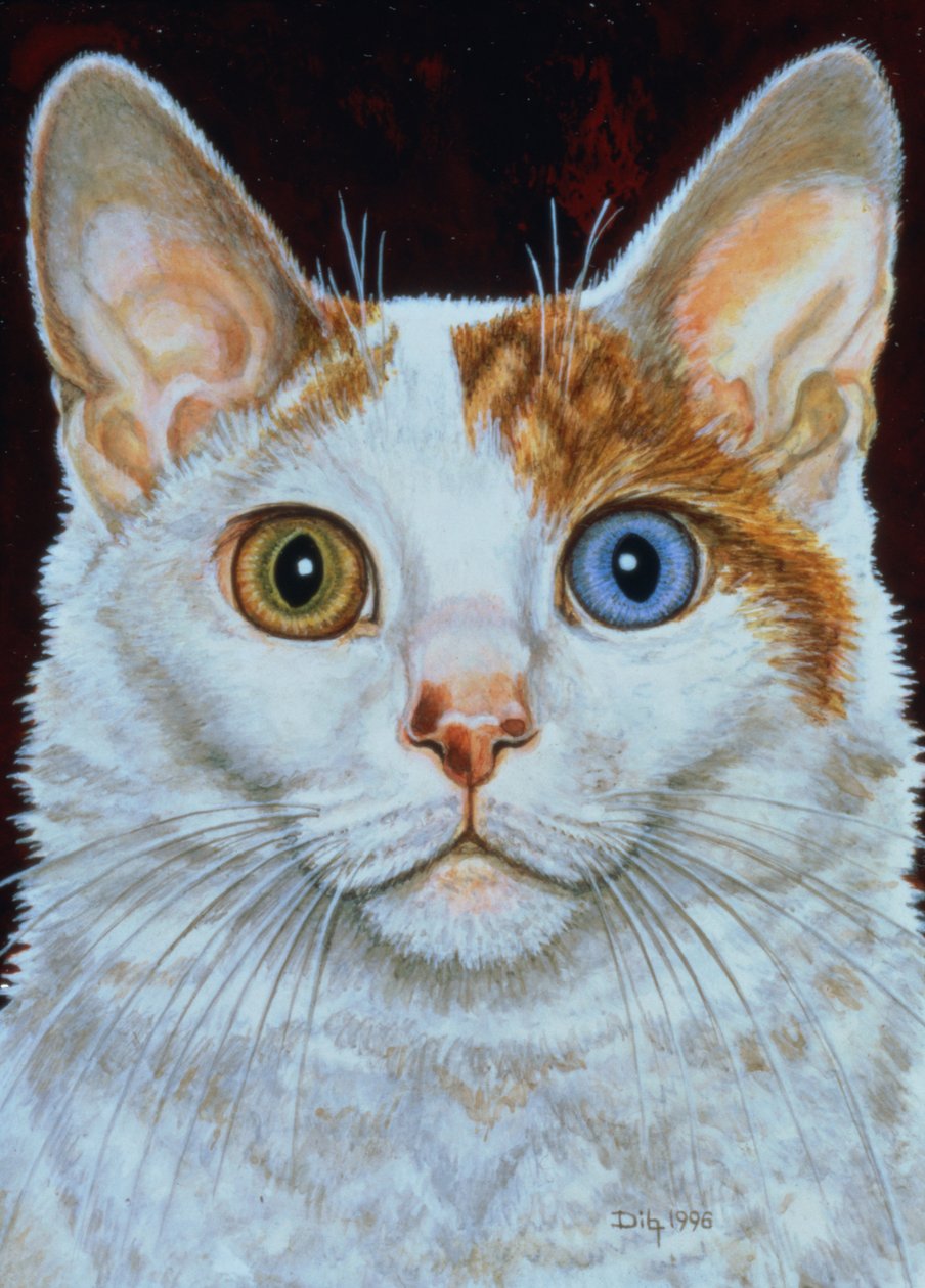 Minette, 1996 (panel üzerine akrilik) by Ditz