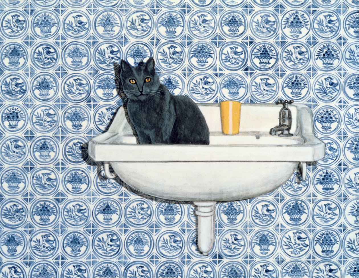 benim banyo kedim by Ditz