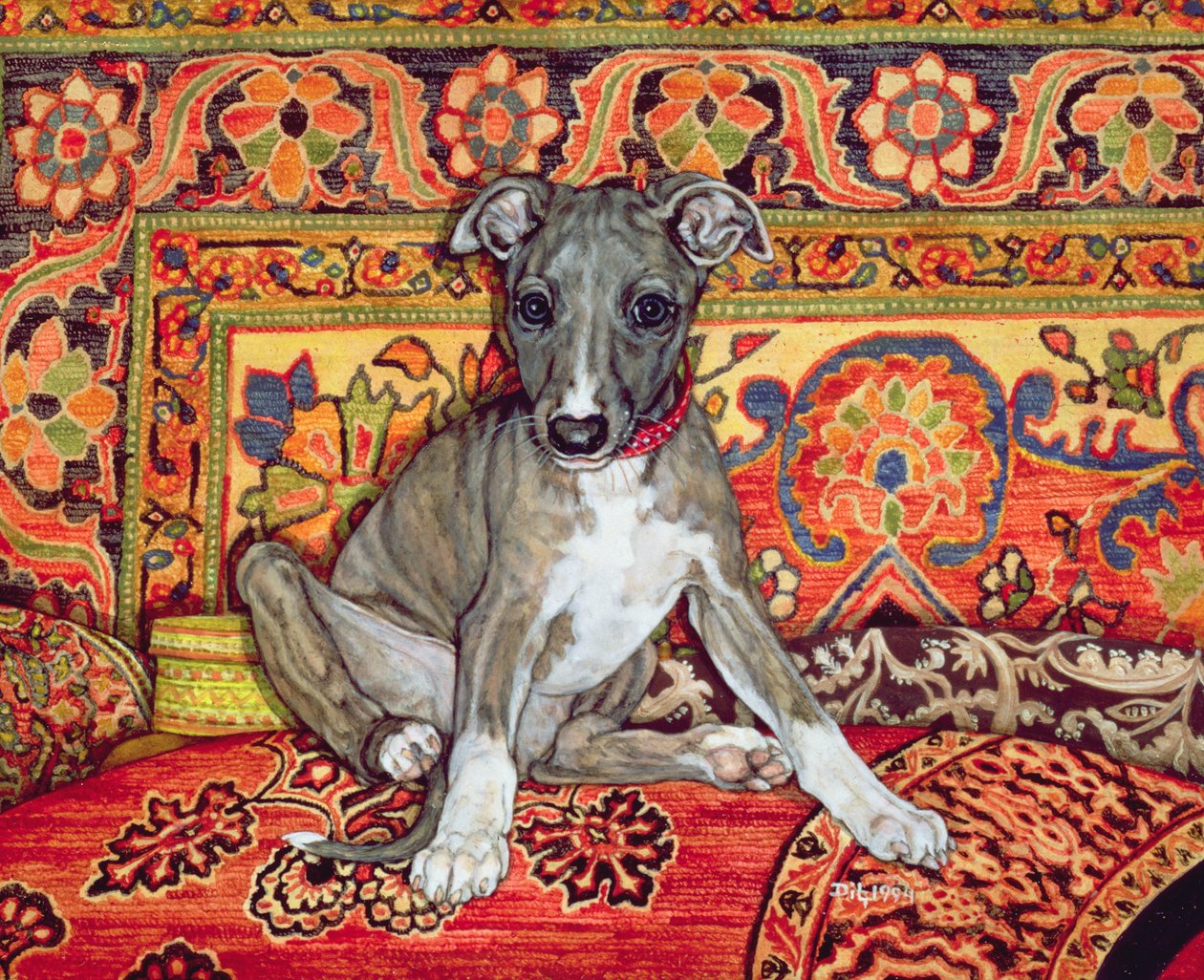 Whippet Bebeğim, 1994 by Ditz
