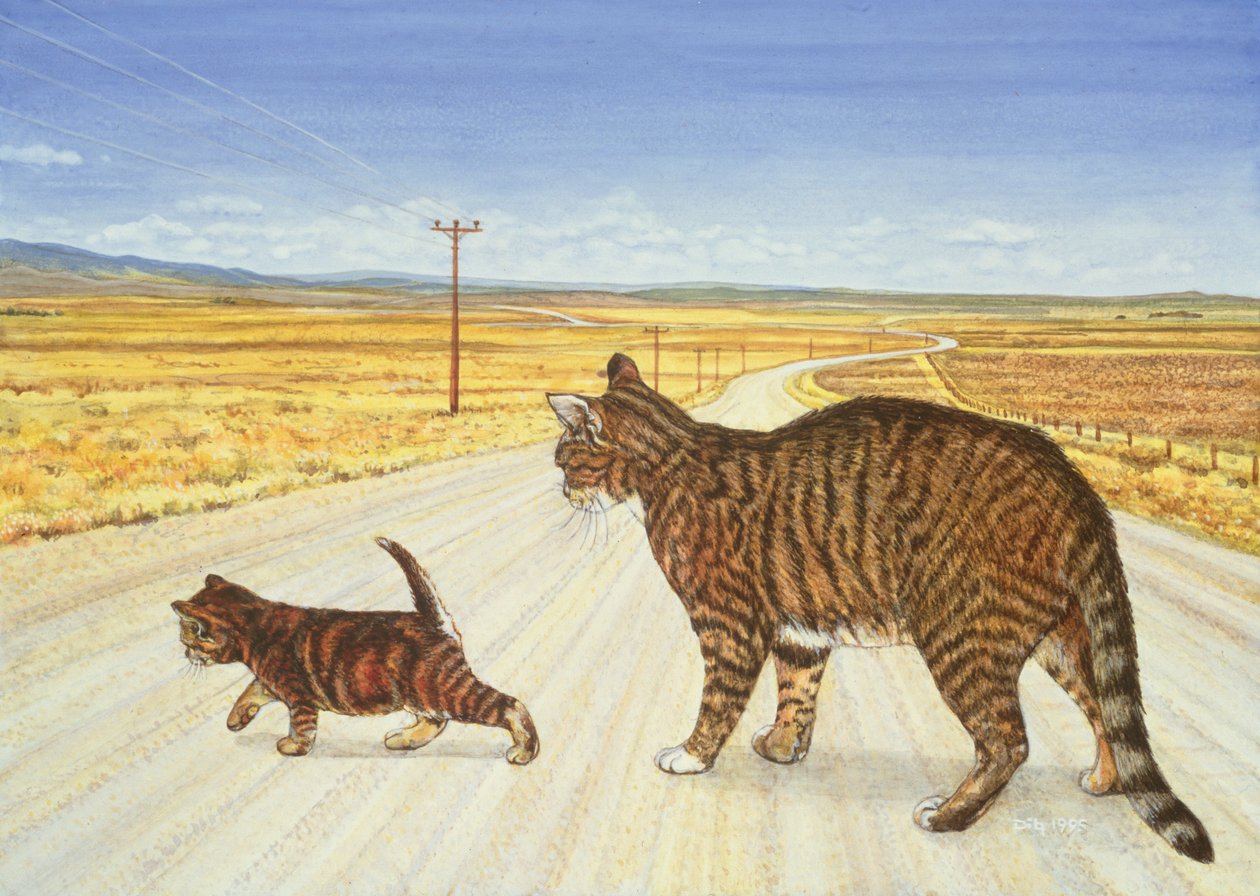 Saratoga Geçişi, 1995 by Ditz