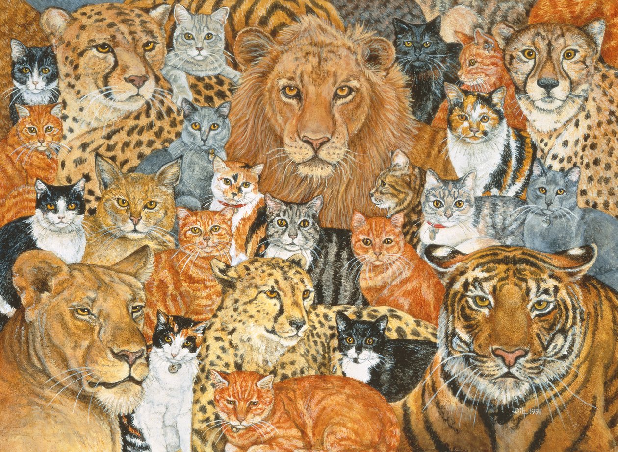 Yarı Vahşi Kedi Yayılması by Ditz