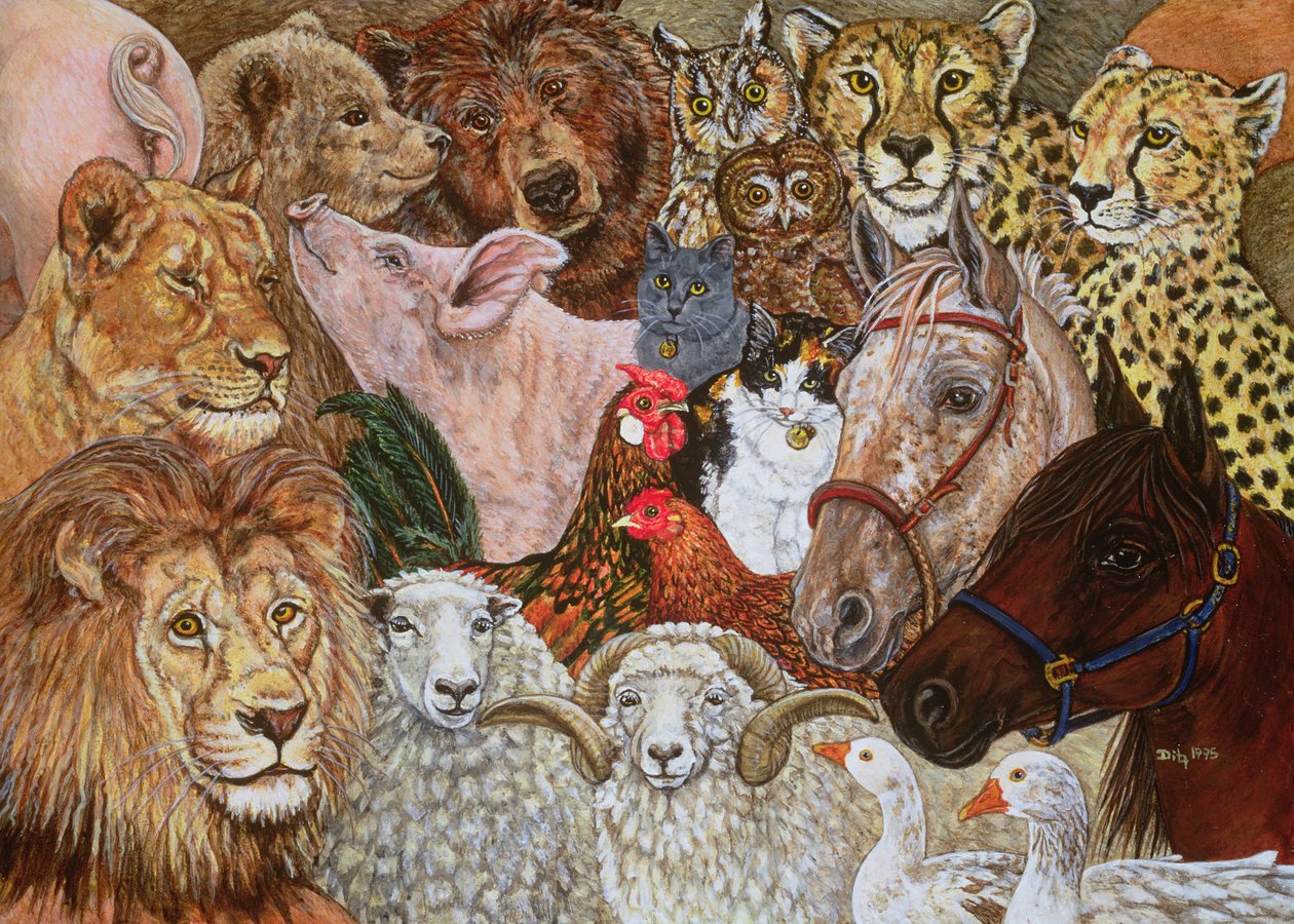 Ark Yayılması, 1995 by Ditz