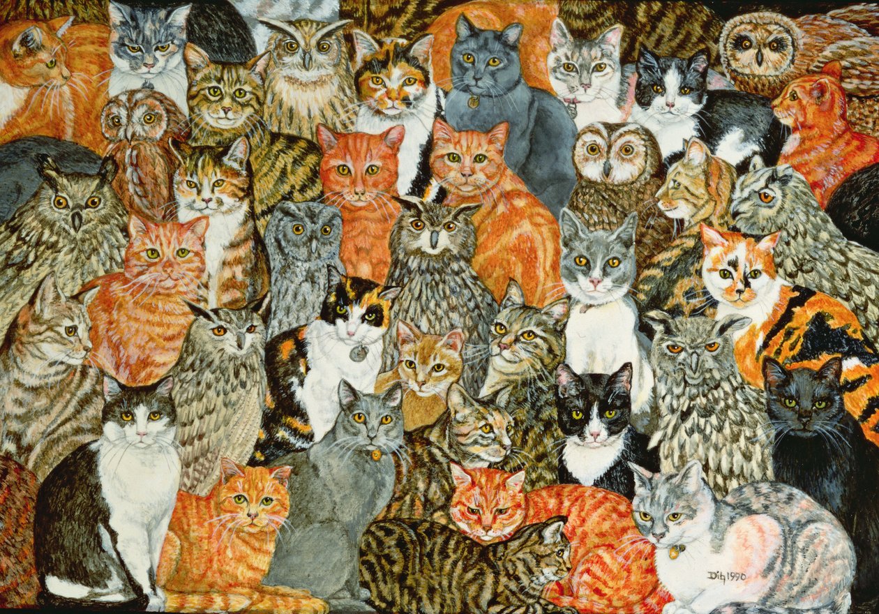 Baykuşlar ve Pussycats by Ditz