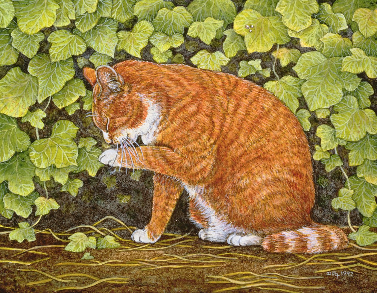 Wash-Day, 1996 (panelde akrilik) by Ditz