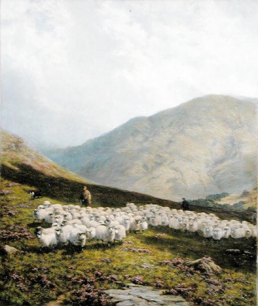 Çoban ve Koyun, Perthshire (tuval üzerine yağlı boya) by Dixon Clark
