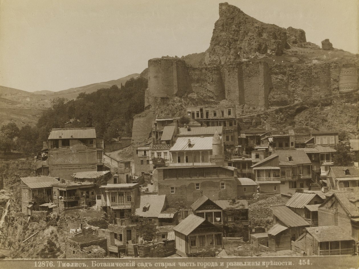 Tiflis by Dmitri Ivanovich Yermakov