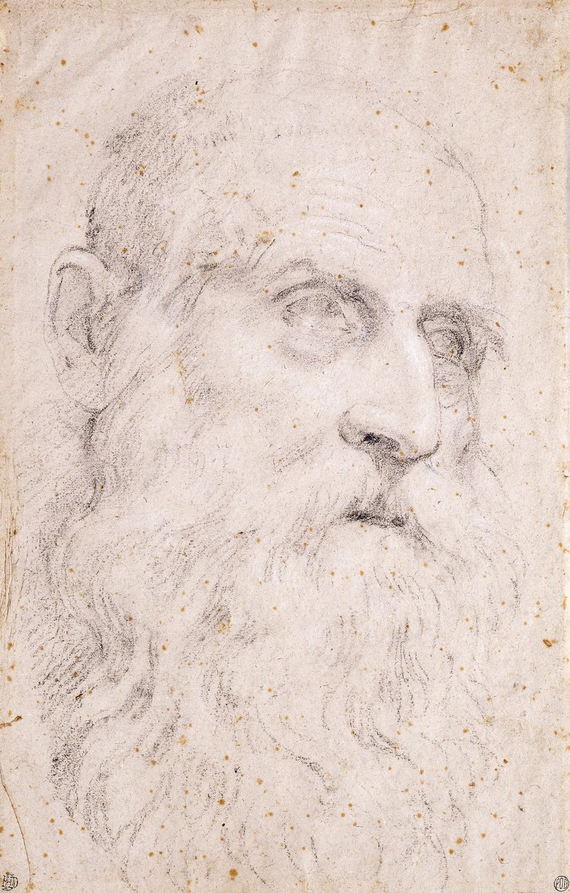 Aziz Jerome Başkanı by Domenichino
