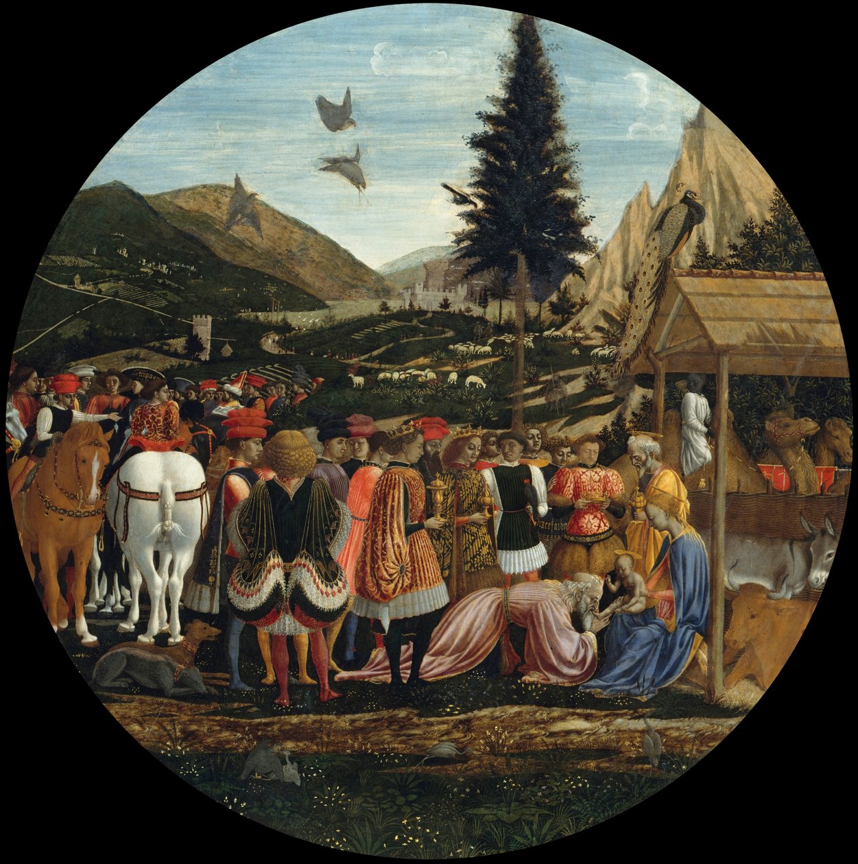 Magi