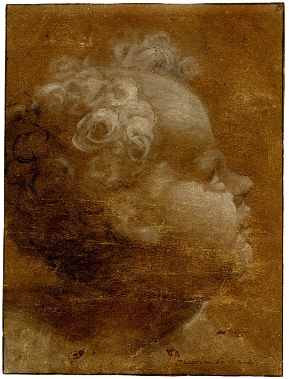  by Domenico Beccafumi
