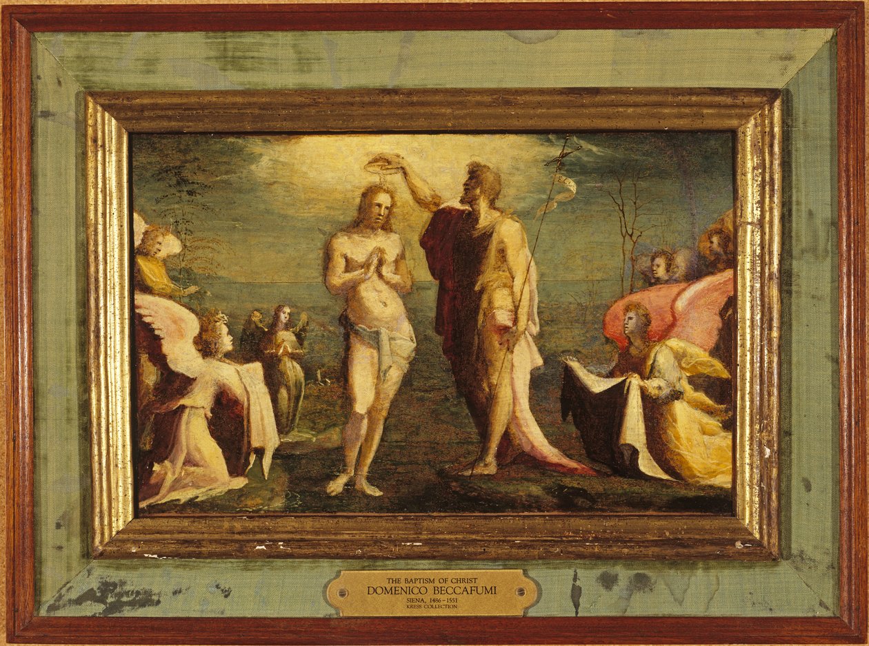  by Domenico Beccafumi