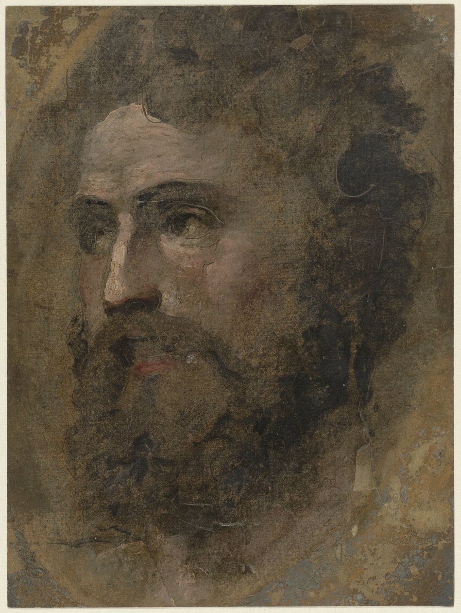 Kıvırcık saçlı adamın başı, solda by Domenico Beccafumi