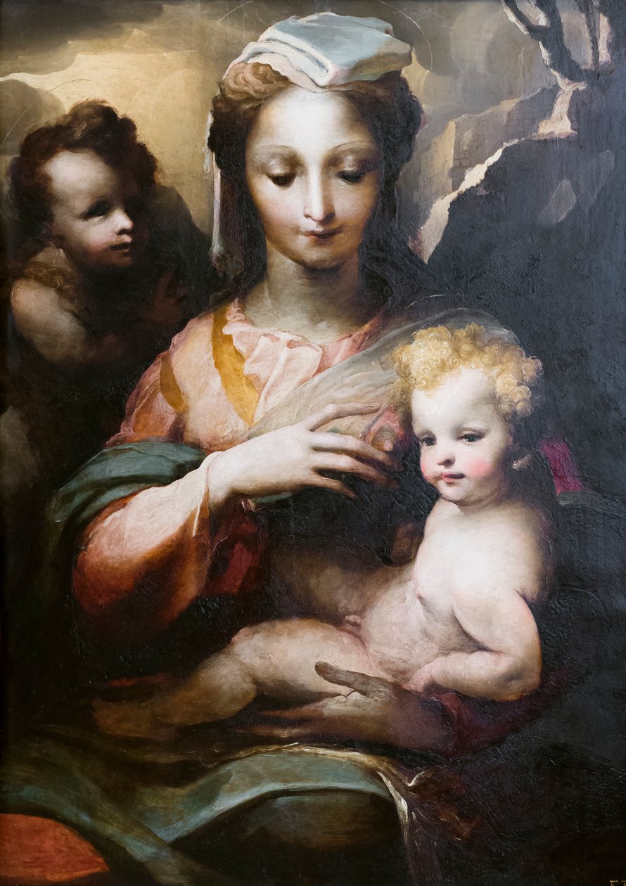 Madonna ve Çocuk, genç bir aziz Vaftizci Yahya ile birlikte by Domenico Beccafumi