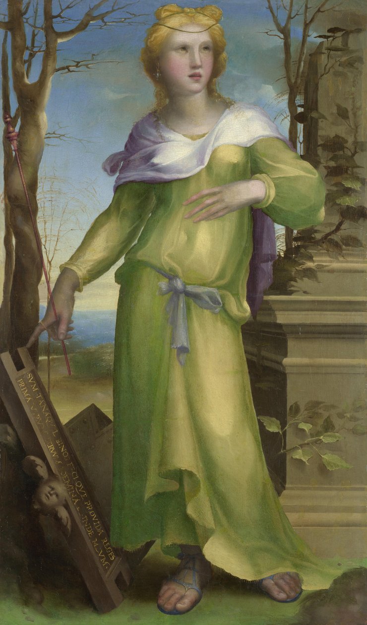 Tanpınar, c. 1519 by Domenico Beccafumi