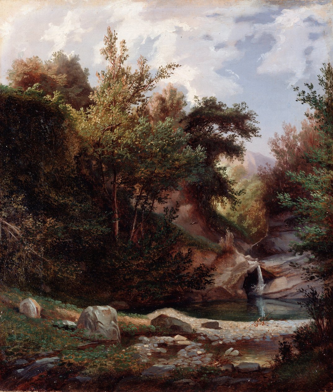 Doğa manzarası, çalılar ve şelaleli dere Resim Domenico Cambiaso (1811-1894) yaklaşık 1865 Dim 43,5x37 cm Genes, Galleria d