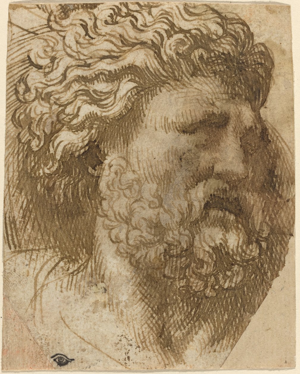 Bir Adamın Başı by Domenico Campagnola