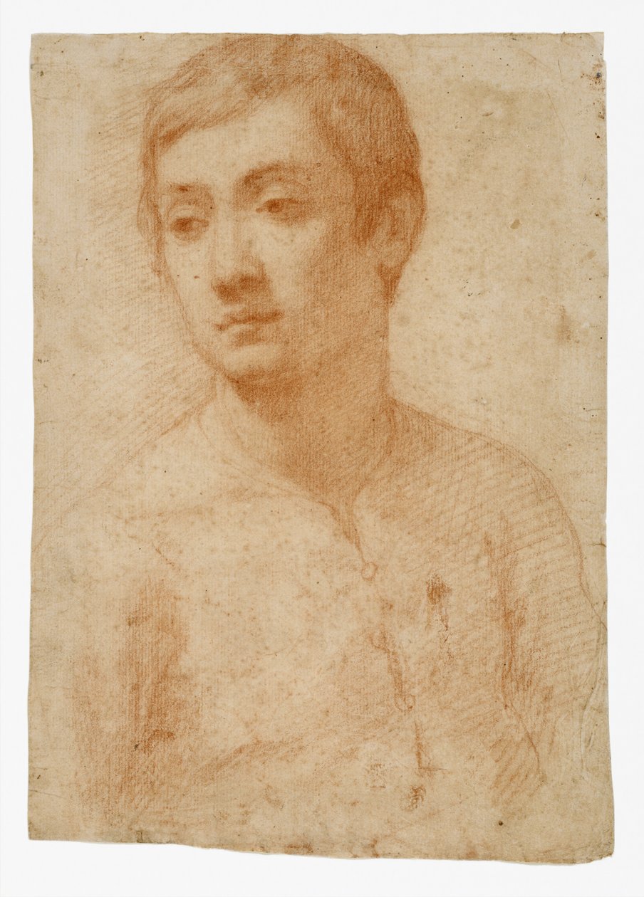 Bir Gençlik Başkanı, c.1600-25 (döşemeli kağıt üzerine kırmızı tebeşir) by Domenico Cresti