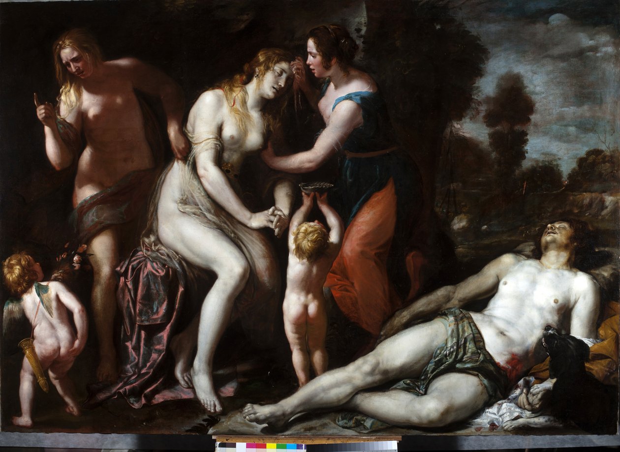 Adonis'in Ölümü (tuval üzerine yağlıboya) by Domenico Il Sarzana Fiasella